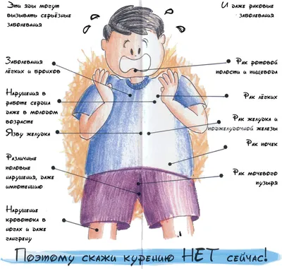 О ВРЕДЕ КУРЕНИЯ ДЛЯ ДЕТЕЙ И ПОДРОСТКОВ | Государственное учреждение  здравоохранения Тульской области "Клинический центр детской психоневрологии"