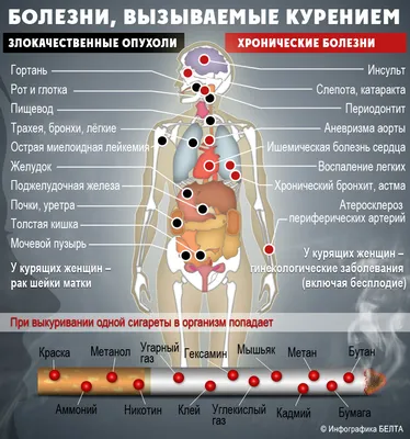 Папа-школа - Как разговаривать с подростком про вред табака и алкоголя