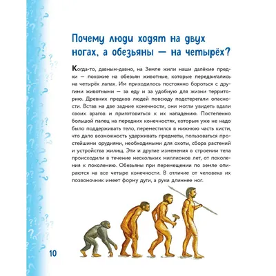 Художественный постер с изображением Женщины красоты спа массаж забота о  здоровье тайский релаксатор фото Настенная картина домашний декор  Современная Картина на холсте - купить по выгодной цене | AliExpress