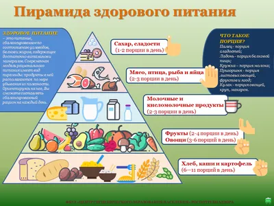 1. Пример здорового питания - не только еда. 2. Овощи и фрукты - залог  здоровья. 3. Разнообразие здоровых блюд. 4. Здоровое питание - баланс. 5.  Поддерживайте здоровый выбор детей. 6. Учитесь готовить