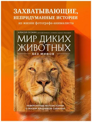 Свинкины финансы. О жизни и экономике доступно и просто» Екатерина Белкина  - купить книгу «Свинкины финансы. О жизни и экономике доступно и просто» в  Минске — Издательство АСТ на 