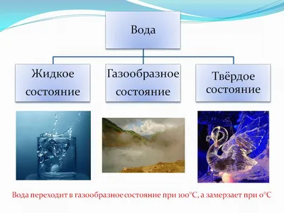 Важность воды для жизни » Şirin Su