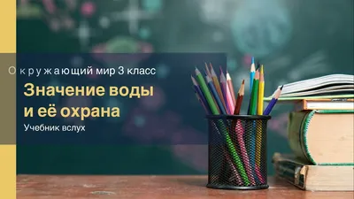 Значение воды для растений | Стройка . Жизнь. Животные. | Дзен