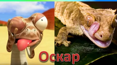 Oscar's Oasis / Аниме