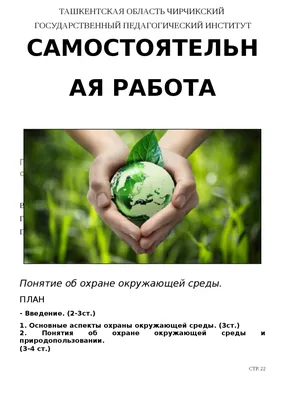 Курсовая Понятие об охране окружающей среды. | Essays (university) Ecology  and Environment | Docsity