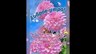 Доброе утро, отличного настроения 💞💞💞🤗👋👋👋. - YouTube