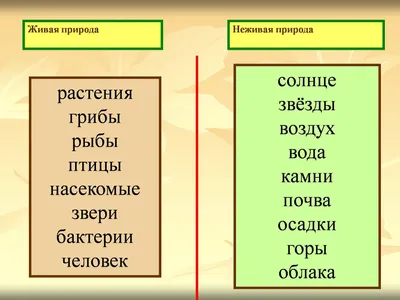 Объекты живой и неживой природы #15