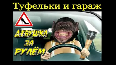 Купить Сам ты обезьяна с гранатой – наклейка и стикер – Sticker You Want