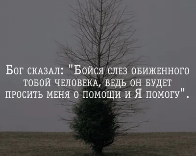 Бог сказал Бойся слез обиженного тобой человека ведь он будет просить меня  о помощи и я помогу - выпуск №1531286 | Words, Quotes, Life motivation