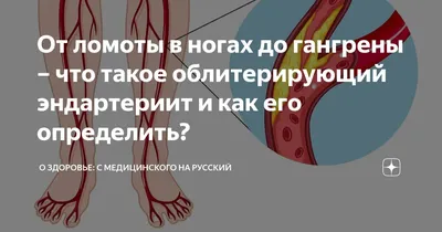 Гатцук П. Г., Облитерирующий эндартериит и облитерирующий атеросклероз,  Изд-во. Купить в Минске — Учебная литература . Лот 5015161453