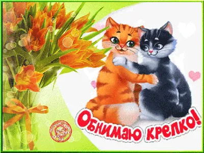 Картинки "Обнимаю!" (259 шт.)