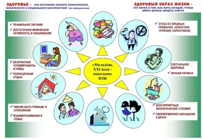 Информационный час «Здоровый образ жизни и его составляющие» | Новости Уфы  - БезФормата