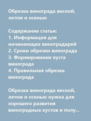 Обрезка винограда весной – пошаговая инструкция с видео для начинающих | В  саду (Огород.ru) | Виноград, Сад, Огород