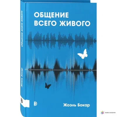 4 признака того, что в вашей паре «проседает» общение