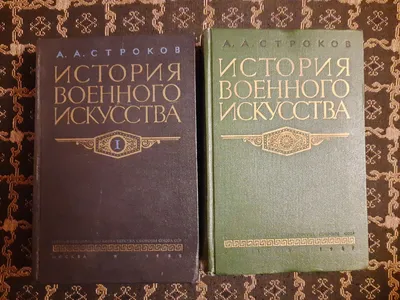 Откуда возник патриархат и как он влияет на общество | РБК Тренды