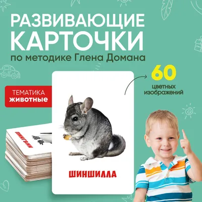 Обучающие карточки для детей Животные 16 шт: 50 грн. - Другие развивающие  игры Днепр на Olx