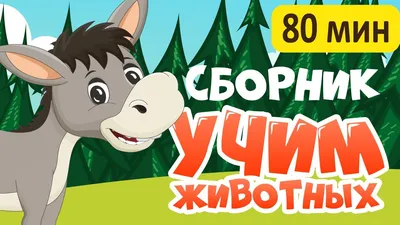 СБОРНИК! Развивающие мультики про животных для детей - YouTube