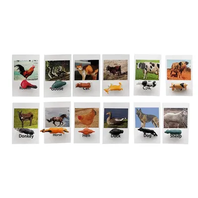Подходящая карта с животными, реалистичные фигурки животных, Обучающие  когнитивные игрушки, игра с животными для малышей, детей | AliExpress