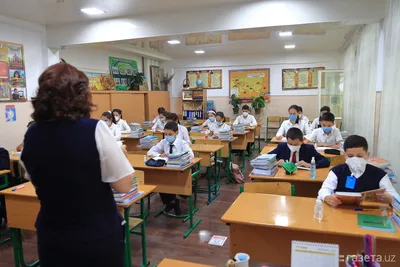 Только четверть школ Узбекистана возобновила очное обучение – Новости  Узбекистана – Газета.uz