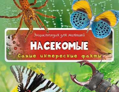 Энциклопедия для малышей. Насекомые Самые интересные факты. Издательство  Виват - «Какая же она яркая и сколько в ней интересных фактов о насекомых»  | отзывы