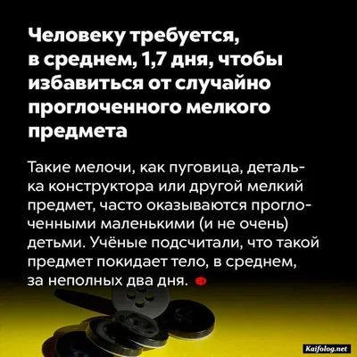 Подборка интересных фактов № 470 | Фактрум | Дзен