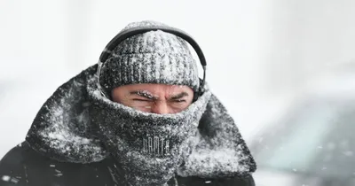 Холодно, очень холодно, везде холодно» — создано в Шедевруме