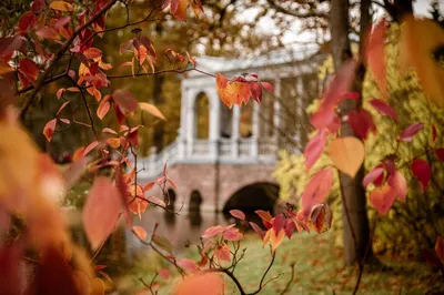 Отправляемся в путешествие осенью: самые красивые города | Высоцкая Life