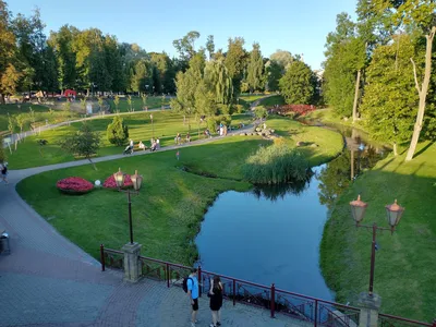 Топ мест для отдыха с палатками на природе в Подмосковье - МК