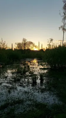 Геометрия в природе» Надежда Сивина - «Как просто, весело и доступно  рассказать ребёнку о фигурах из геометрии? Конечно, с помощью доступных  аналогий из природы!))) Много фото и наши с малышом впечатления» | отзывы