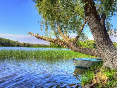 Tineretului Park, Бухарест: лучшие советы перед посещением - Tripadvisor