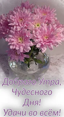 Красивые картинки "Доброе утро!" (1216 шт.)