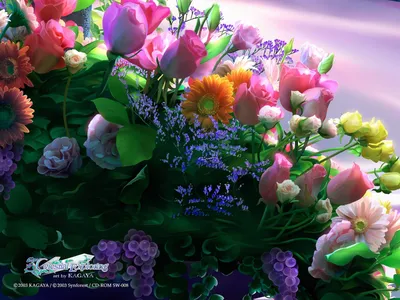Как красиво сфотографировать цветы в Instagram : Цветландия —  круглосуточная доставка цветов в Казахстане
