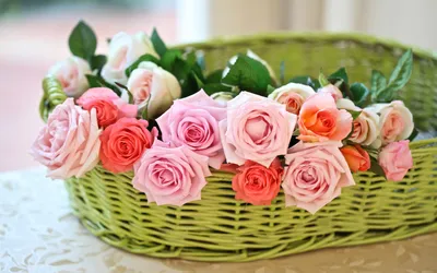 Без роз, пожалуйста: самые необычные и красивые цветы - 