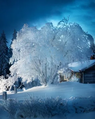 Очень красивые зима картинки