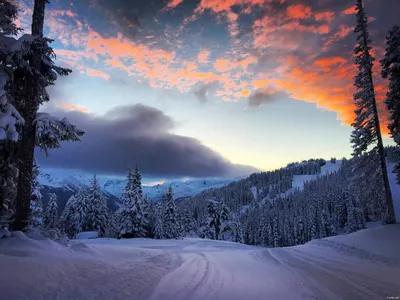 Зимний пейзаж - красивые картинки (100 фото) - 