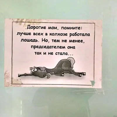 смешные картинки про работу: 21 тыс изображений найдено в Яндекс.Картинках  | Самые смешные цитаты, Позитивные цитаты, Смешные смайлики