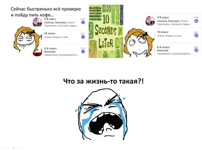 Когда IQ очень средненький:? смешные ответы на вопросы, заданные в  интернете | Mixnews