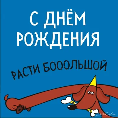 С днем рождения девушке прикольные и смешные картинки с поздравлениями (48  фото) » Красивые картинки, поздравления и пожелания - 