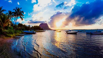 Отдых на Маврикии в 2024 году: что посмотреть, когда ехать и как добраться,  цены