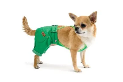 Одежда для собак крупных и средних пород JOY Комбинезон дождевик для самца  - купить с доставкой по выгодным ценам в интернет-магазине OZON (301541951)