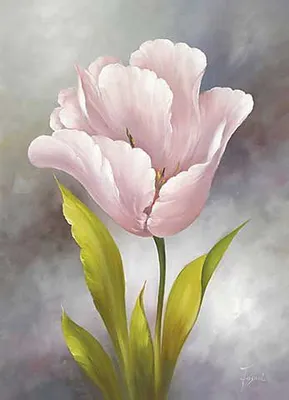 пион один цветок: 10 тыс изображений найдено в Яндекс.Картинках | Peony  painting, Flowers photography, Flower painting