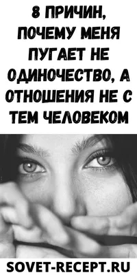 Когда одиночество - благо: 8 трогательных фото питомцев, которым  потребовалось уединение | Удивительный мир | Дзен