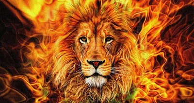 Картина по номерам Огненный лев, 40х50 см, Rainbow Art (GX4605) купить в  Киеве, Наборы для творчества в каталоге интернет магазина Платошка