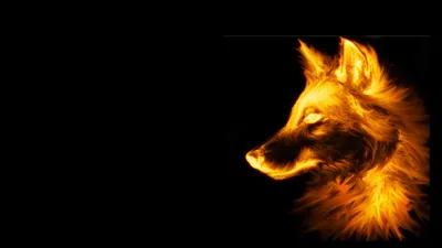 Мужское Худи Грозный огненный волк (VLF-881286-hud-2) с принтом, купить в  PrintFact