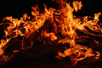 Костровые Locus – подлинный образ огня