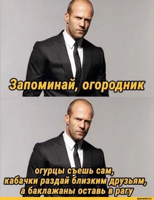 Демотиватор: У каждого свое счастье растет в огороде | Огород, Счастье,  Смешно