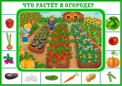 ЧТО растет на ОГОРОДЕ? Учим овощи! У дедушки и бабушки Обучающее видео для  детей - YouTube