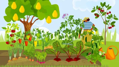Создаем огород для детей: Мастер-Классы в журнале Ярмарки Мастеров