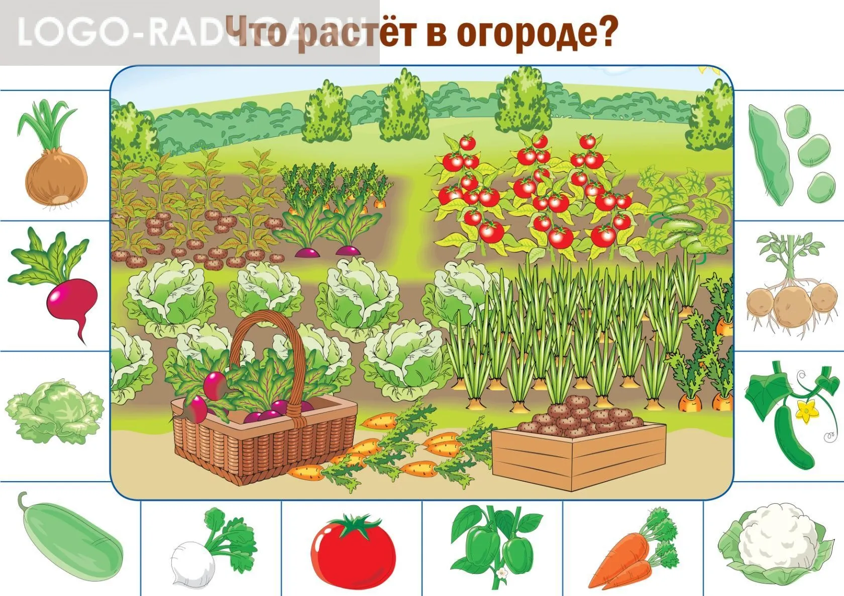 Мир растений 2 младшая группа. Огород для дошкольников. Огород картинка для детей. Наглядный материал для дошкольников. Наглядный материал овощи.