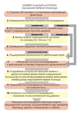 Комитет по здравоохранению Санкт-Петербурга | Первая помощь